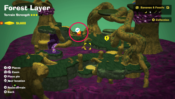 Forest Layer - Tree Climbing